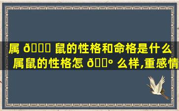 属 🐎 鼠的性格和命格是什么（属鼠的性格怎 🌺 么样,重感情吗）